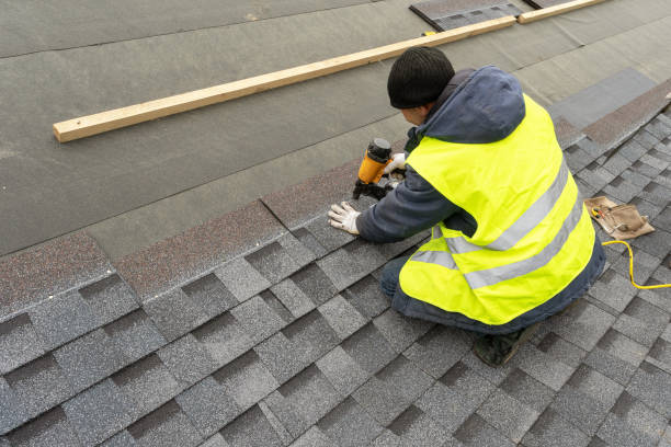 Best Roof Gutter Cleaning  in Haynesville, LA