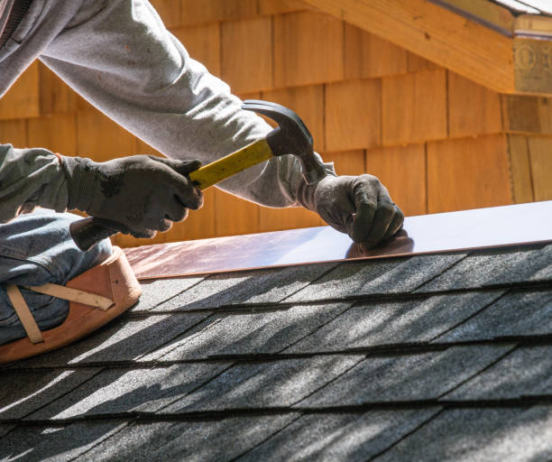 Best Roof Gutter Cleaning  in Haynesville, LA